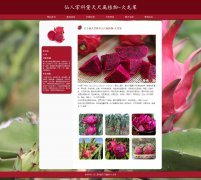 植物-火龙果 16页 水果科普 HTML5  带设计说明 JS轮播特效PHP+MYSQL数据库 后台管理