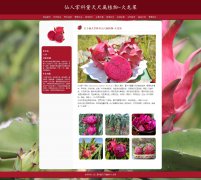 植物-火龙果 21页 水果科普 HTML5 带设计说明 JS轮播特效PHP+MYSQL数据库 后台管理系统 注册登录留言 权限管理 用户管理 添加修改用户 新闻管理 添加修改删除新闻 留言管理 增删查改