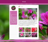 杜鹃花 16页 花卉植物十大名花 HTML5 带设计说明  轮播特效 PHP+MYSQL数据库 后台管理系统 注册登录留言 权限管理 用户管理 添加修改用户 新闻管理 添加修改删除新闻 留言管理（增删查改）