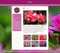 杜鹃花 21页 花卉植物 映山红 十大名花 HTML5 带 带设计说明 轮播特效 PHP+MYSQL数