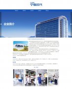 宁德时代新能源科技股份有限公司 12页 企业 HTML5 带设计说明 轮播特效 PHP+mys