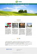 中国医药健康产业公司 24页 医药商业企业带设计说明 轮播特效 PHP+MYSQL数据库