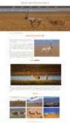 国家重点保护野生动物-藏羚羊 16页面 濒危物种 带设计说明 轮播特效  PHP+MYSQL数据库 注册登录留言功能 后台管理系统 权限管理 用户管理 新闻管理 留言管理 添加删除搜索修改(增删查改)