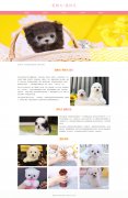 宠物犬-茶杯犬 12页面 犬科哺乳动物 最小的犬种 宠物狗狗 带设计说明 轮播特效