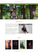 哺乳动物-杜宾犬 12页面 犬科 笃宾犬 宠物狗狗 带jquery图片轮播特效  PHP+MYSQL数