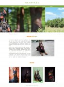 哺乳动物-杜宾犬 16页 犬科 笃宾犬 宠物狗狗 带设计说明 轮播特效  PHP+MYSQL数据