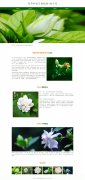 茜草科栀子属植物-栀子花 12页  鲜花花卉 带设计说明 轮播特效 PHP+MYSQL数据库 后台管理系统 注册登录 权限管理 用户管理 添加修改用户 新闻管理 添加修改删除新闻 增删查改
