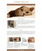 宠物猫猫-英国短毛猫 20页面 HTML5 动物宠物主题 带设计说明 JS轮播特效 注册登