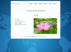 源乐案例展示 6页面 网页设计制作作品展示