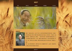 袁隆平 5页面 杂交水稻之父 带JS轮播特效 背景音乐 本地视频