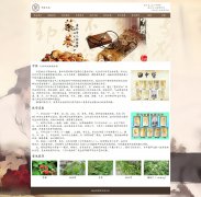 中医文化 14页面 中华民族传统医学 带导航下拉菜单 注册登录表单