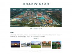 常州工学院21商务二班  9页面  ASP+ACCESS数据库 注册登录留言功能  增删查改