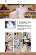 宠物布偶猫 5页面 动物宠物猫科普 HTML5+CSS3 带JS图片轮播特效